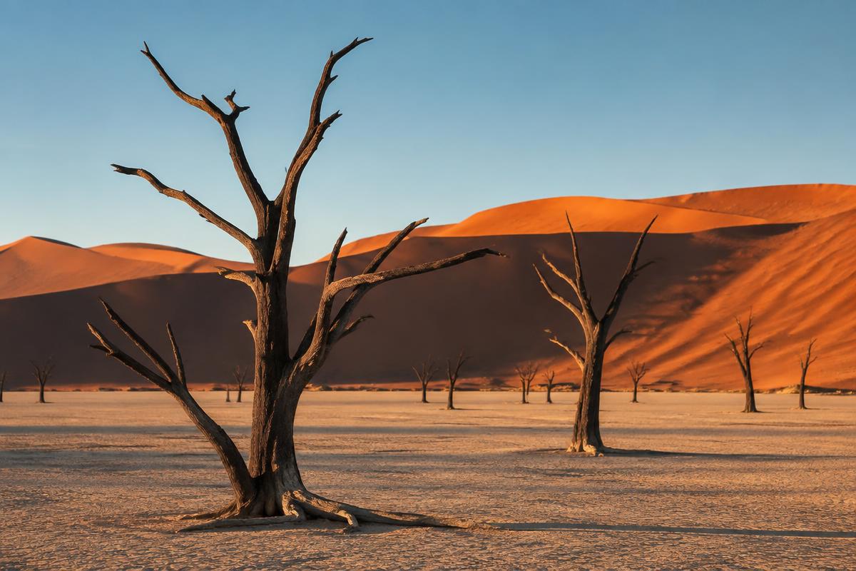 Namibia scenery