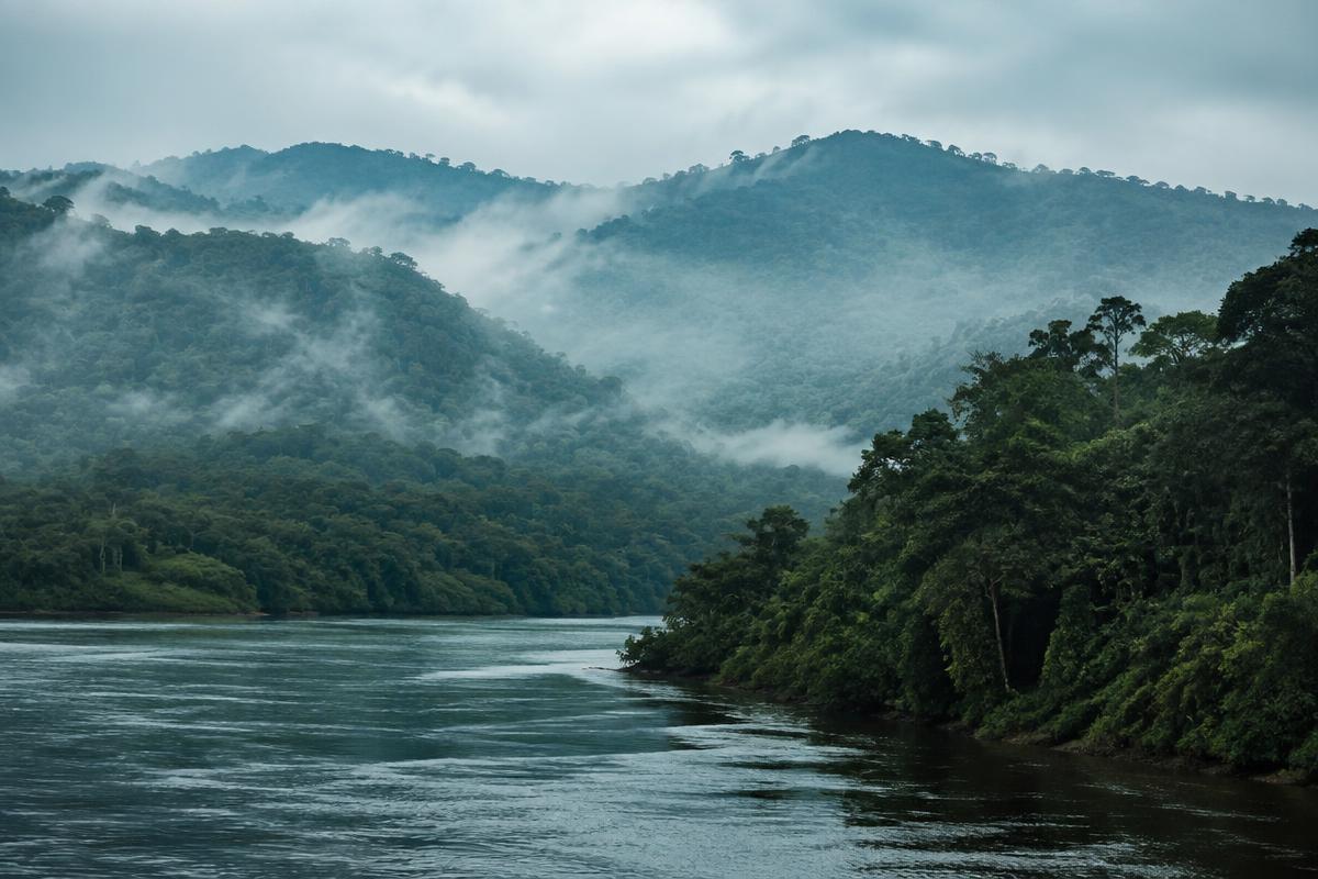Central Africa landscape